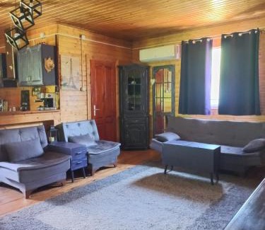 Certeju de Sus House | Wooden house