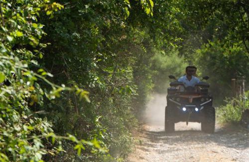 Ponari Resort | Wooden Village Resort