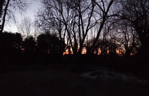 Boston Other | Woodfarm Glamping