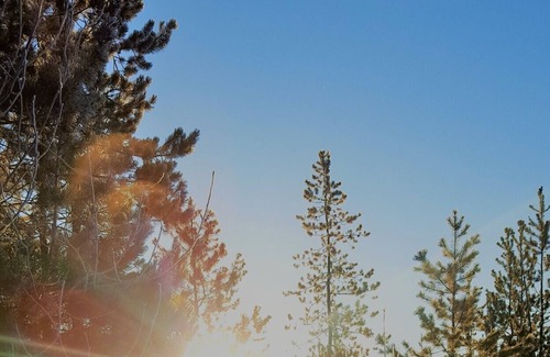 Prince George Cottage | Woodhouse Cottages and Ranch - Corral Cottage