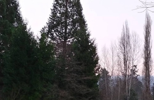 Leota Cabin | Woodinville Wine Country Cabin
