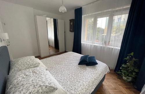 Dziaki Lesne Apartment | Woodland Apartment
