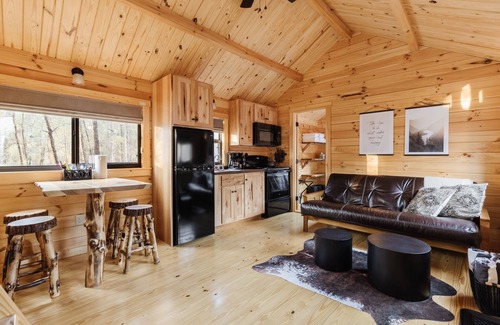 Forsyth Cabin | Woodland Chalet w/HOT TUB, Deck + Private Lake!