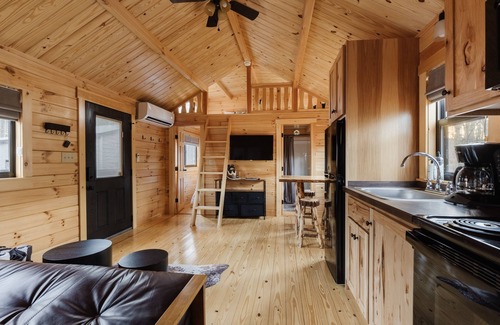 Forsyth Cabin | Woodland Chalet w/HOT TUB, Deck + Private Lake!