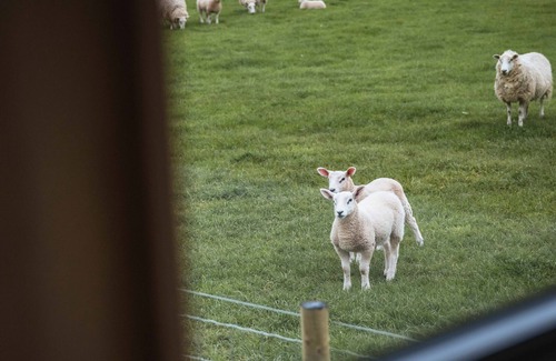 St George Cabin | Woodland Hideaway on a Working Farm Near Snowdonia