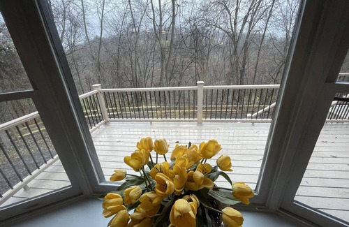 Spring Gap House | Woodland Oasis - Quick access to the Potomac River and the C&O Canal Tow Path!