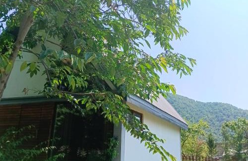 Gabala Apartment | Woodland Paradise
