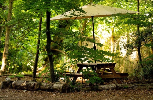 Penwood Ski Chalet | Woodland Pod near Highclere Castle
