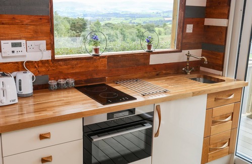 Corwen Cottage | WOODLAND POD, pet friendly, country holiday cottage in Corwen