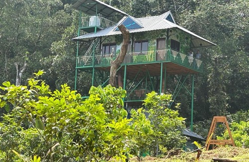 Kondapur Resort | Woodland Resort