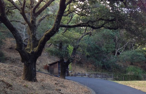 West End House | Woodland Sanctuary Walking Distance to towns of San Anselmo and San Rafael
