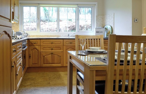 Cwrt Cottage | Woodland View Bungalow 2 - UK10493