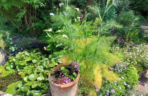 Freshwater House | Woodlands West Wight