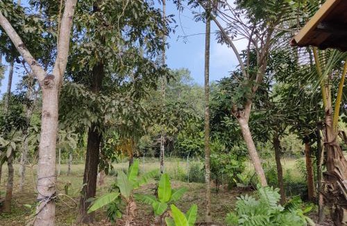 Sulthan Bathery Villa | Woodside Haven