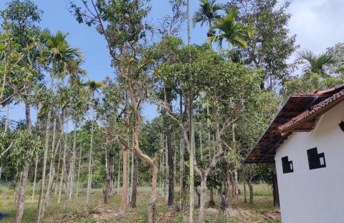 Sulthan Bathery Villa | Woodside Haven