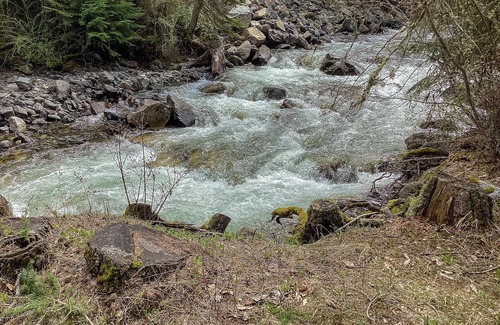 Wallowa County Cabin | Woodsy riverfront basecamp with fireplace, large deck & firepit - dogs welcome