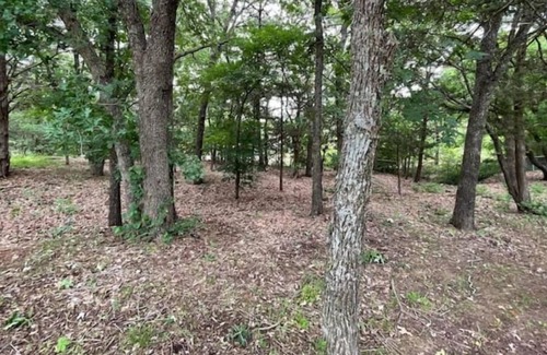 Pottsboro House | Woodsy Texoma Boatfriendly Cabin