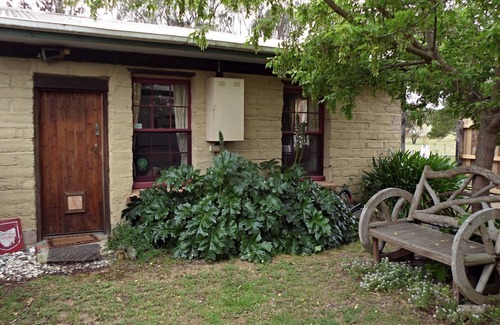 Falmouth House | "WOOLLY BUTT" BUNGALOW