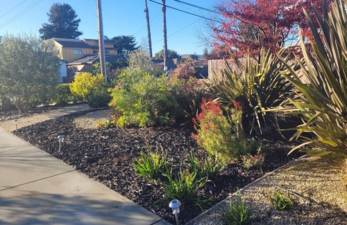 Upper Seabright House | Work/Play in Furnished Santa Cruz Home