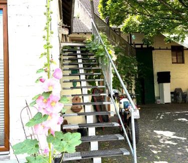 Gundersheim Apartment | Workers Lodge für 4-14 Pers, Parkplatz, Wlan, Einzelbetten