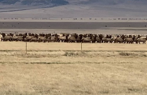Shining Mountains Cabin | World Class Fishing, and Mountain Views in the beautiful Madison River Valley.
