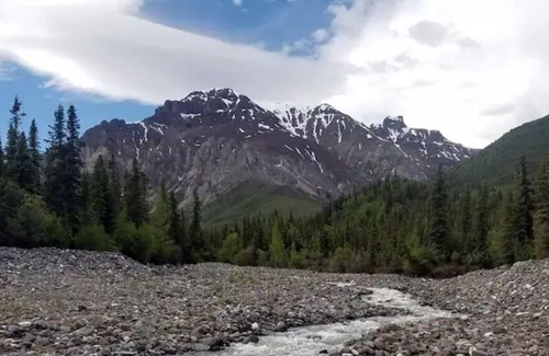 Slana Cabin | Wrangell Mountains Wilderness Caribou Cabin