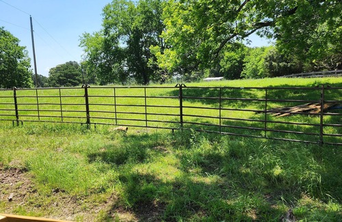 Tyler House | Wranglers Cabin