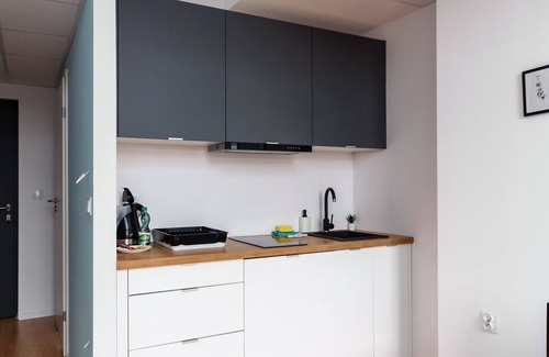 Psie Pole Apartment | Wrocław Bierutowska Comfort Studio