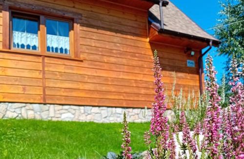 Kamesznica House | Wrzos Chata w Beskidach