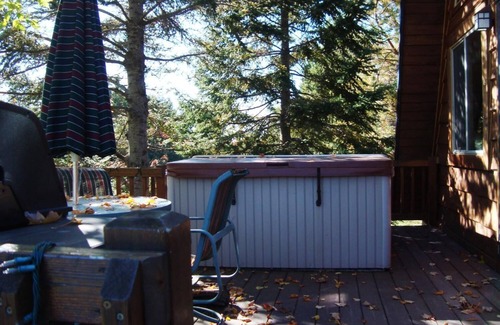Bessemer Cabin | Wudenknipple