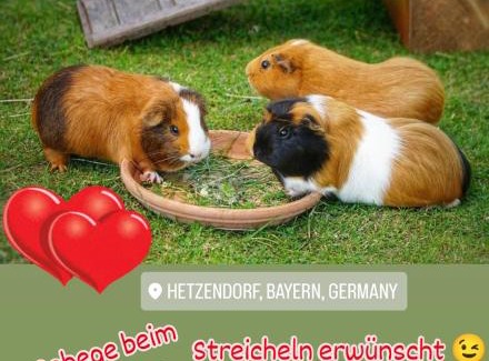 Betzenstein Apartment | Wunderwelt Betzenstein familiär-ländlich-modern