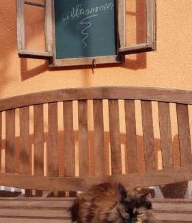 Diez Apartment | Wurmelhaus