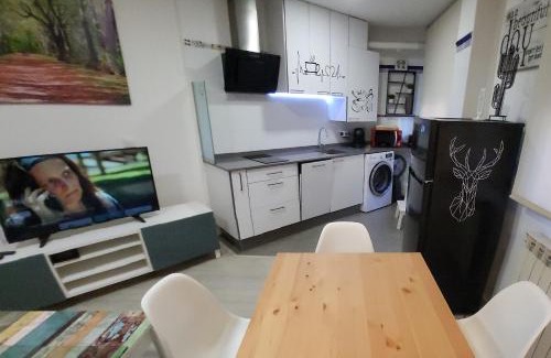 Leon Apartment | www Goyahospitales es