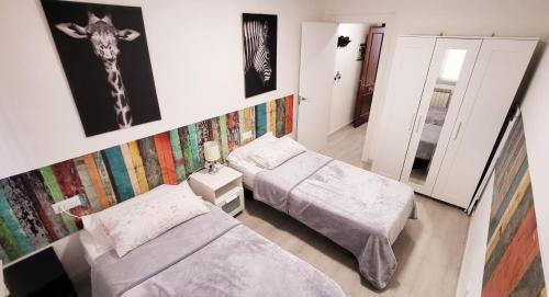 Leon Apartment | www Goyahospitales es