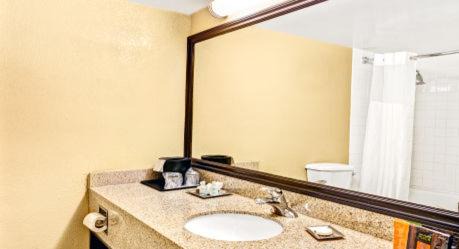 Romulus Hotel | Wyndham Garden Detroit Metro Airport