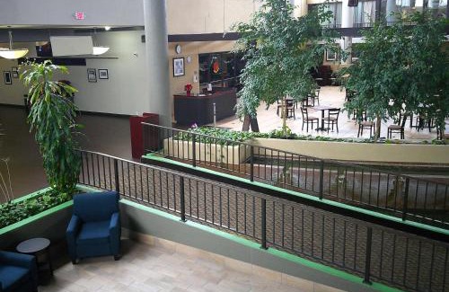 Romulus Hotel | Wyndham Garden Detroit Metro Airport