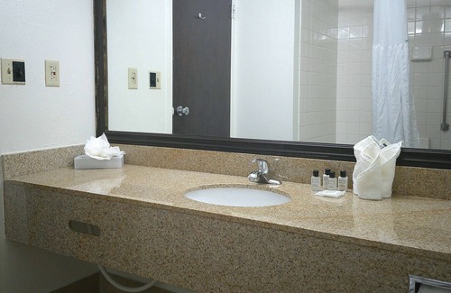 Romulus Hotel | Wyndham Garden Romulus Detroit Metro Airport