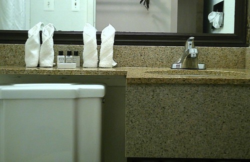 Romulus Hotel | Wyndham Garden Romulus Detroit Metro Airport
