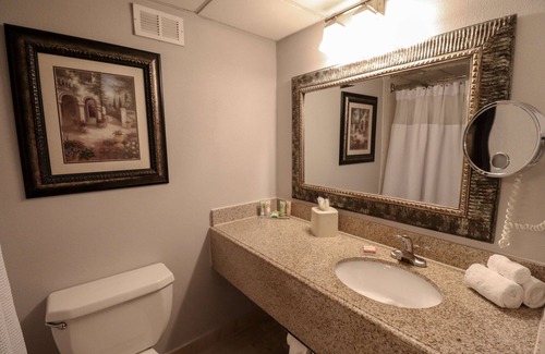 South Main Hotel | Wyndham Houston near NRG Park/Medical Center