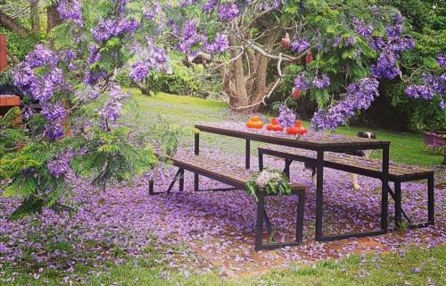 Beechmont Bed & Breakfast | Wyndover Mountain Retreat