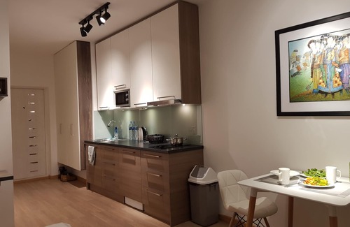 Bayanzurkh Apartment | X-Apartment: Brand New, Luxury Studio in UB