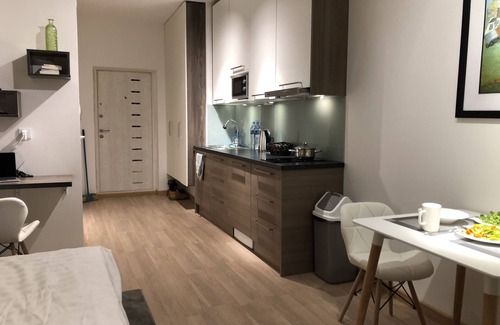 Bayanzurkh Apartment | X-Apartment: Brand New, Luxury Studio in UB