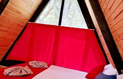 Faralya Villa | Xanthos is located in a cedar forest, our natural healer - de-stress and unwind