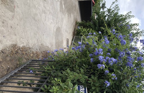 Piane Vecchie House | Xenia House Holiday House