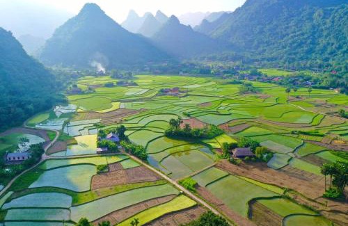 Lam Thuong House | Xoi Farmstay - A Home Farm in Lam Thuong valley - North Vietnam