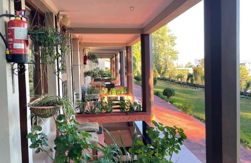 Chiliyanaula Resort | Xomotel Ranikhet Heights