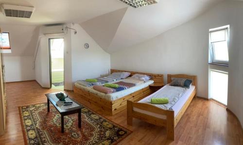 Tirgu Mures House | XXL-House