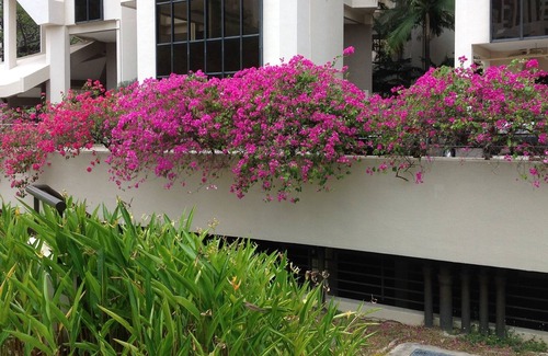 Bedok Condo | Xxxxxxxxxxxxx