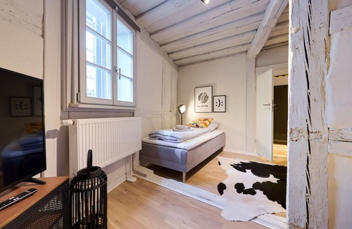 Schwabach Apartment | Xzllenz auf 100qm #Modern#Balkon#Fachwerk#Netflix