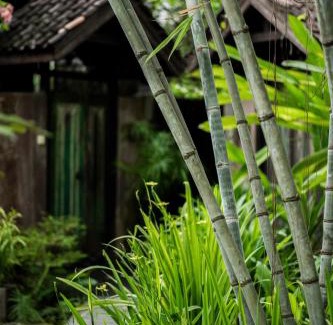 Timbulharjo Resort | Yabbiekayu Eco-Bungalows